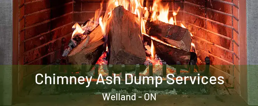 Chimney Ash Dump Services Welland - ON